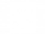 Bild der Frau